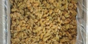 Dry Golden Raisins