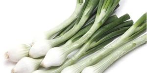 Fresh Spring Onion