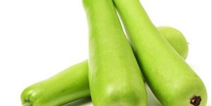 a Grade Bottle Gourd