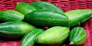 Natural Pointed Gourd