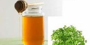 Coriander Honey