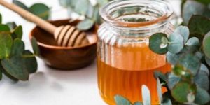 Eucalyptus Honey