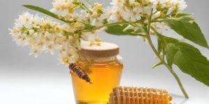 Himalayan Multi-flora Honey