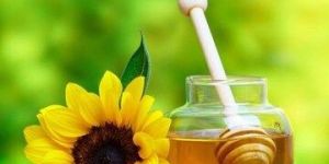 Sunflower Honey