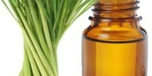 Lemongrass Oil