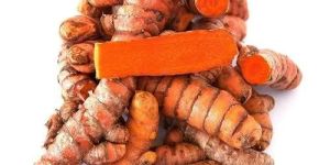 Raw Turmeric Finger