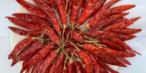 Sannam S4 Dried Red Chilli
