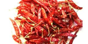 Wrinkled Dried Red Chilli