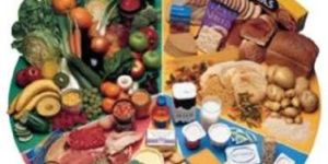 Disease Specific Diet Consultation Service