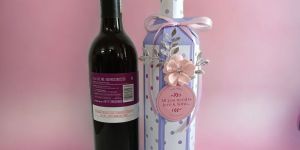 Wine Bottle Bags