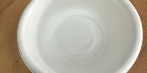 Sugarcane Bagasse Bowls