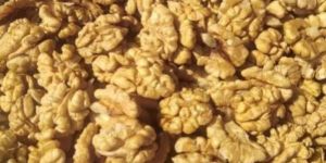 Walnut Kernels
