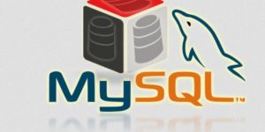 MYSQL Project