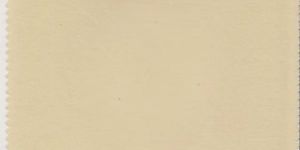 Supima Cotton Lycra Knitted Fabrics