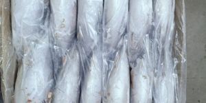 Frozen Bonito Fish