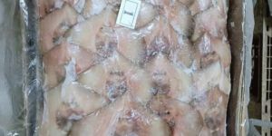 Frozen Stingray Fish