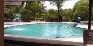 Swimming Pool Consultation Service