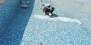 Swimming Pool Maintenance Service