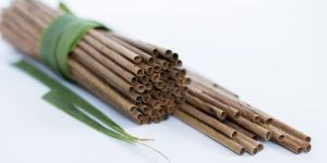 Coconut Leaf Straws