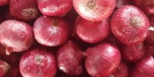 India Fresh Red Onion
