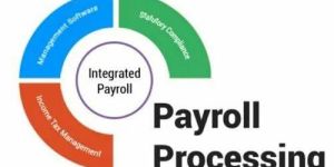 Payroll Processing Service