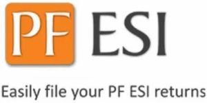 PF & ESI Return Filing Service