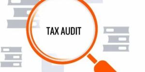 Taxation Audit Service