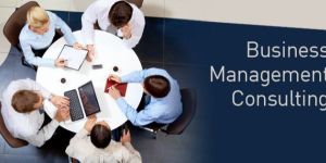 Business Management Consultancy Service