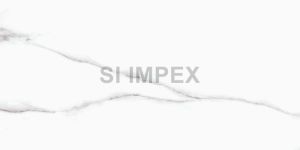 Satvario Pearl Glossy Finish Vitrified Tile