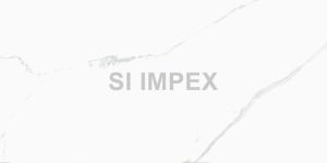 Satvario Renoir Glossy Finish Vitrified Tile