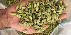 Green Cardamom