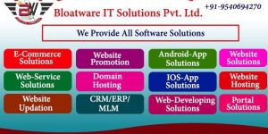 Software Development Service