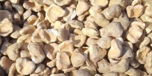 Dried Mini Katni Singhara