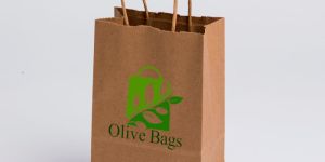 Craft Paper Carry Bags