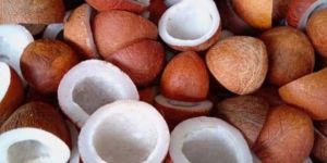 Brown Organic Dried Coconut Copra