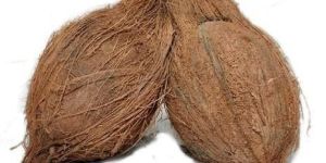 Pure Semi Husked Coconut