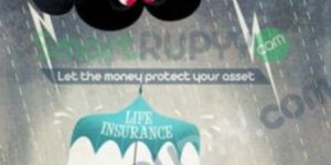 Life Insurance Service