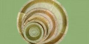 Round Sal Leaf Plate Set