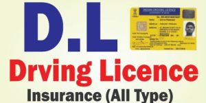 Driving License Service