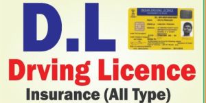 Driving License Service
