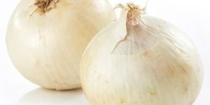 Natural White Onion