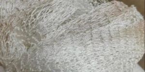 Polyester Fishing Net