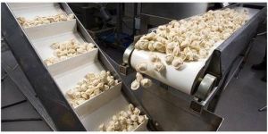 Food Grade Conveyor Belts