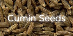 Organic Cumin Seeds