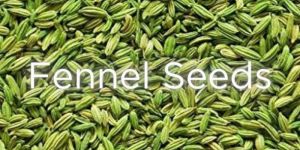 Organic Fennel Seeds