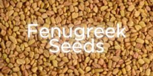 Organic Fenugreek Seeds
