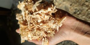 Pine Wood Shavings