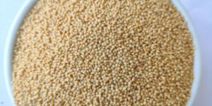 Amaranth Seeds
