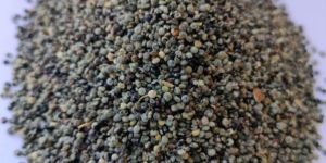 Raw Black Quinoa Seeds