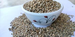 Hemp Seeds
